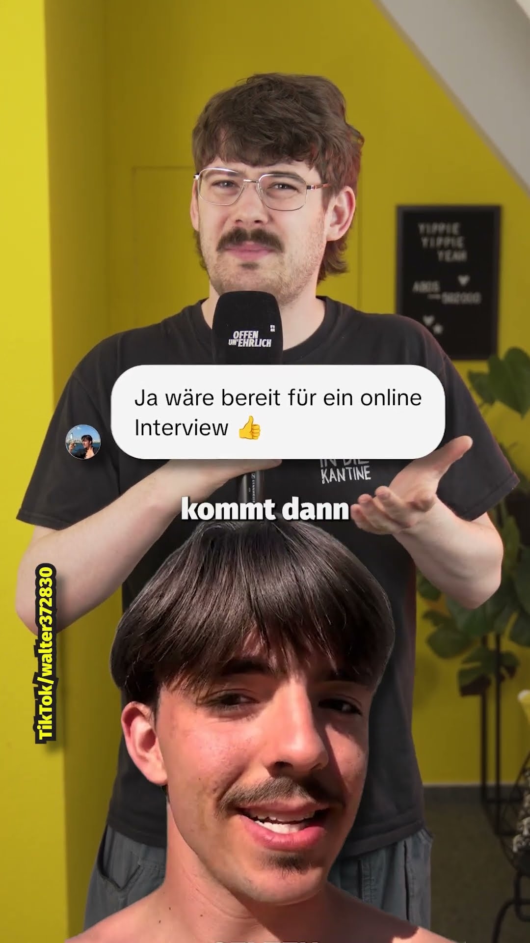 Fleisch-Allergie durch Zecke?! 🪳🌿