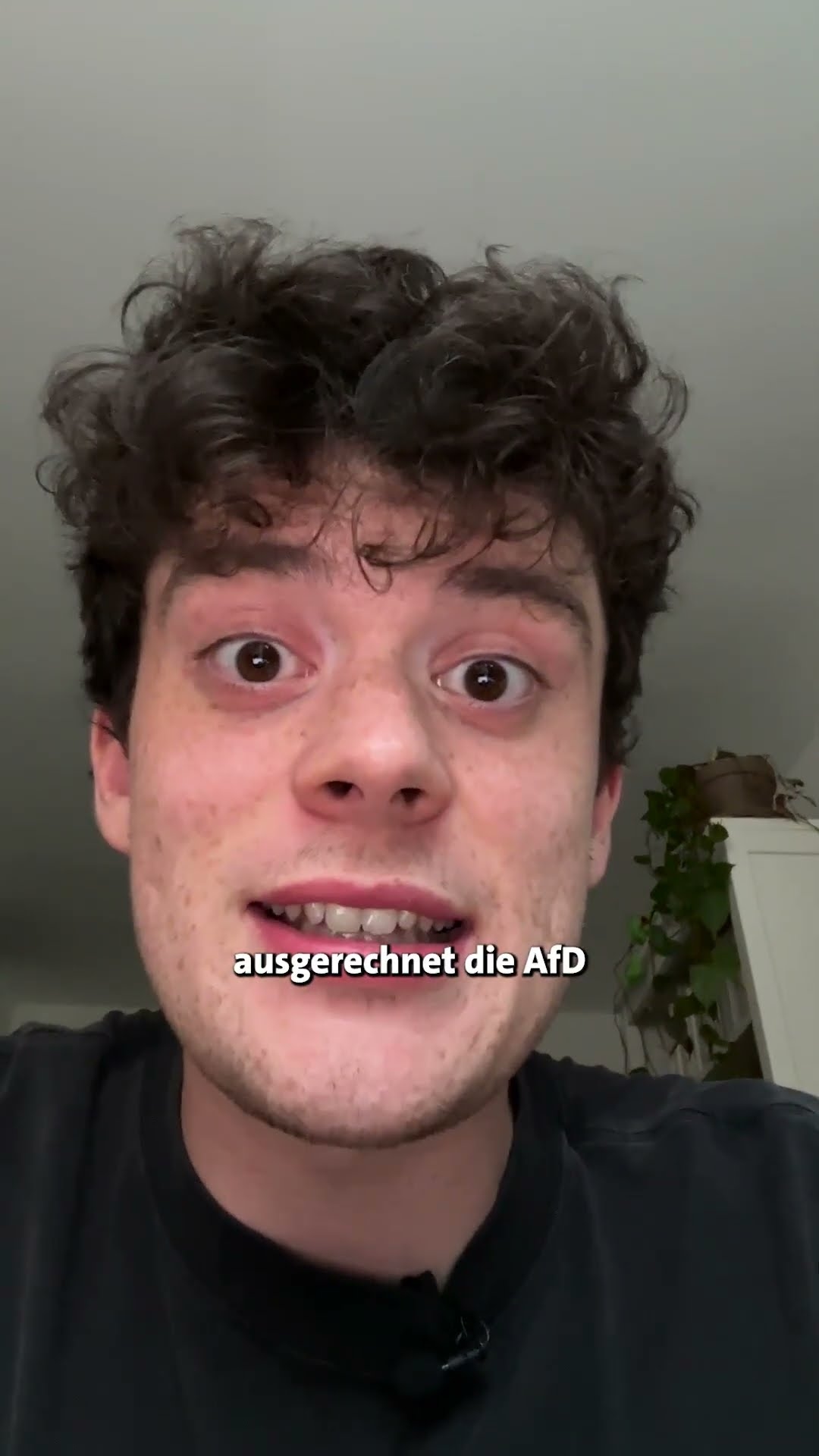 Sind den Grünen Igel egal?