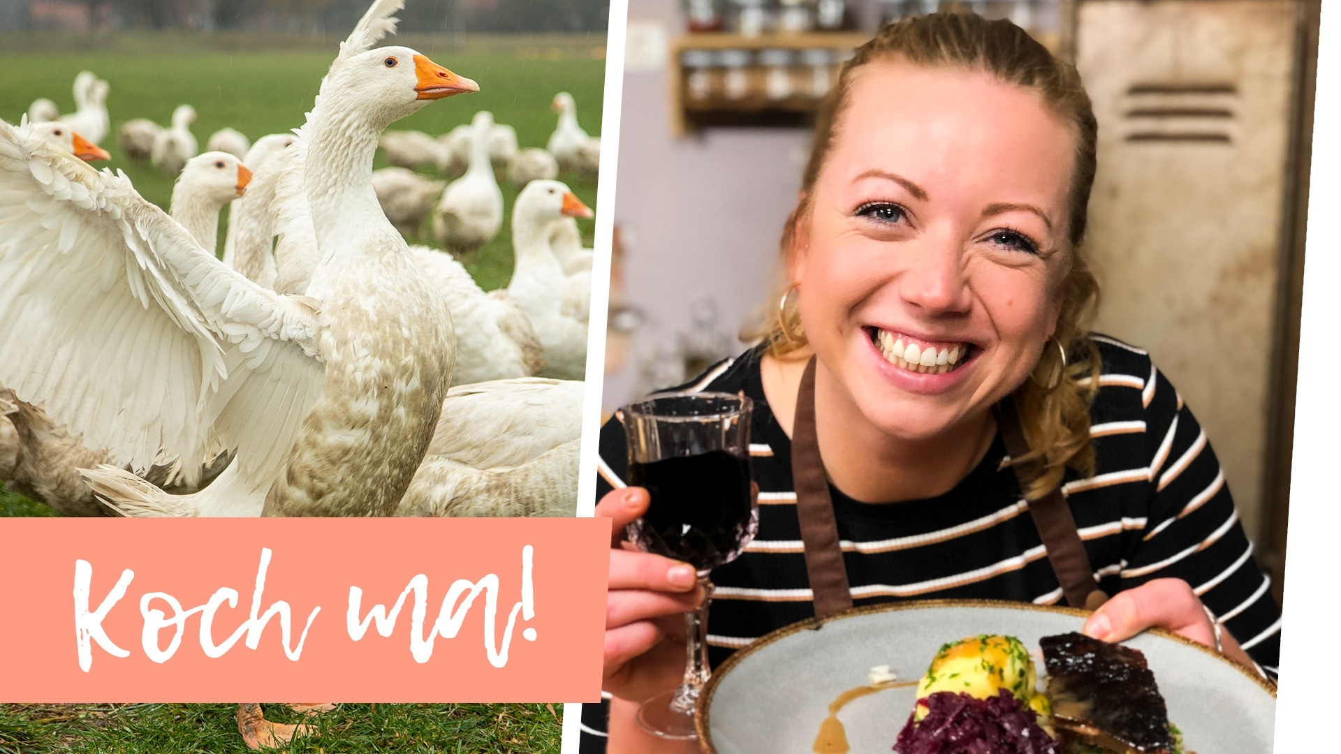 Gänsebraten - Weihnachtsgans im Ofen zubereitet | Koch ma!