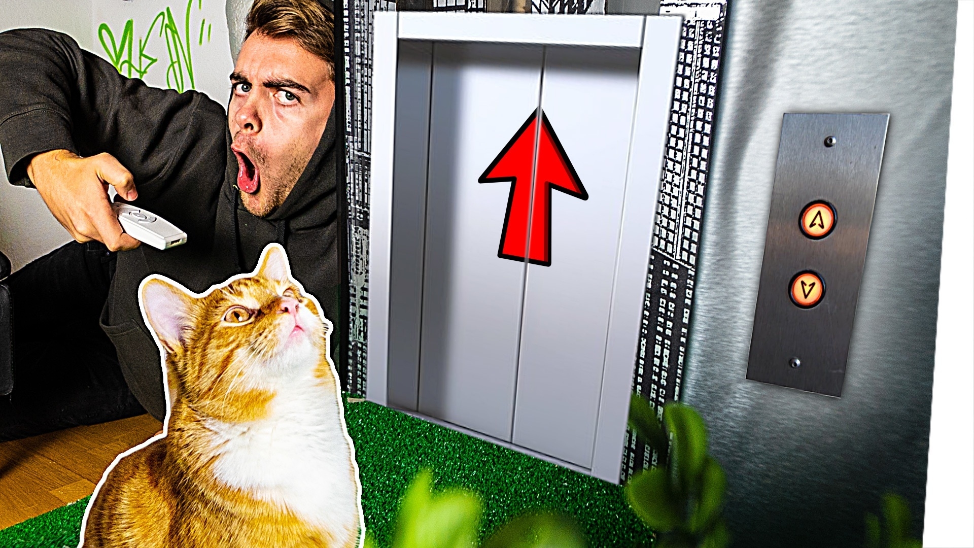 Der ERSTE KATZEN AUFZUG der WELT!!
