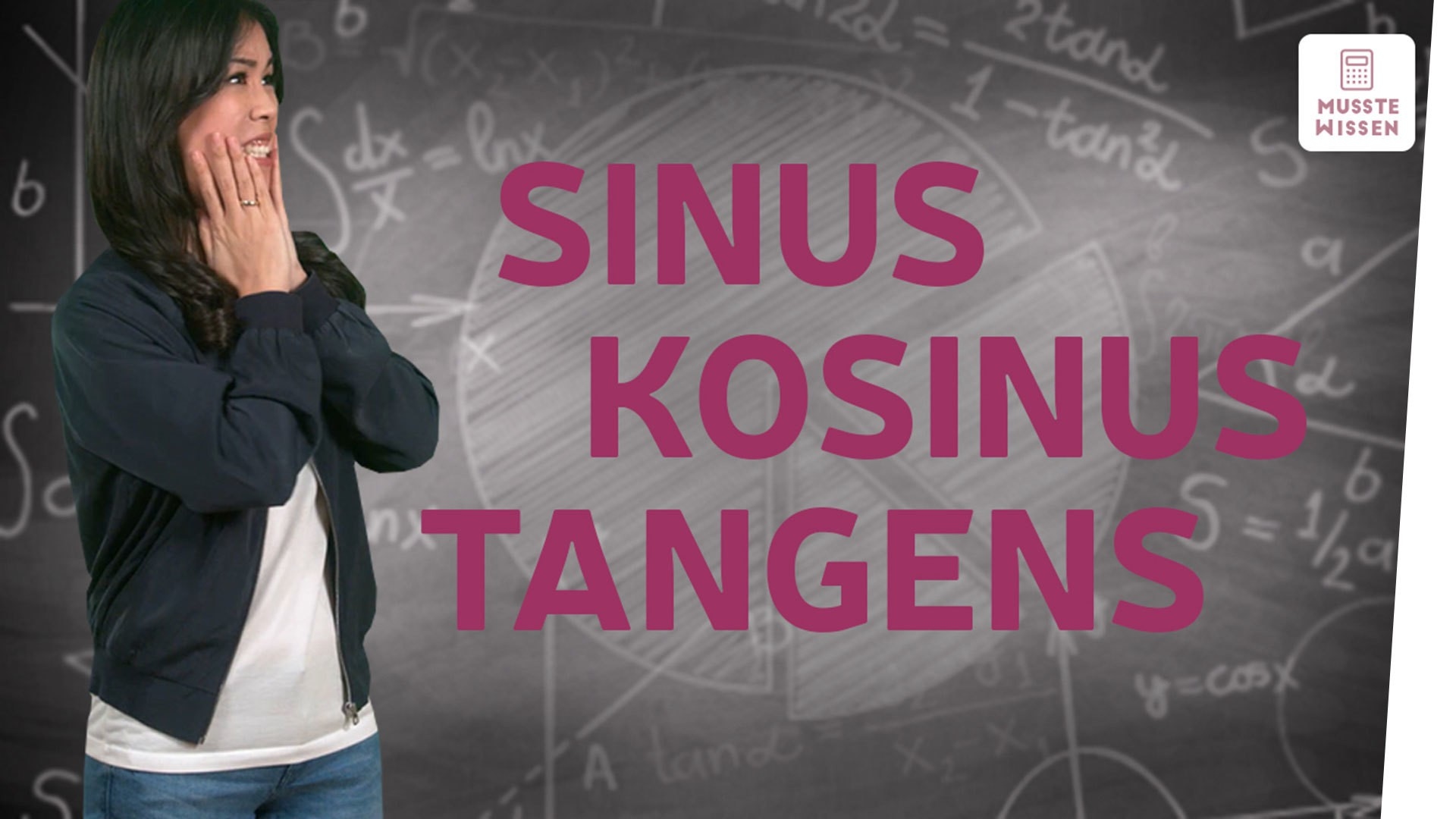Die Winkelfunktionen Sinus, Kosinus und Tangens I musstewissen Mathe