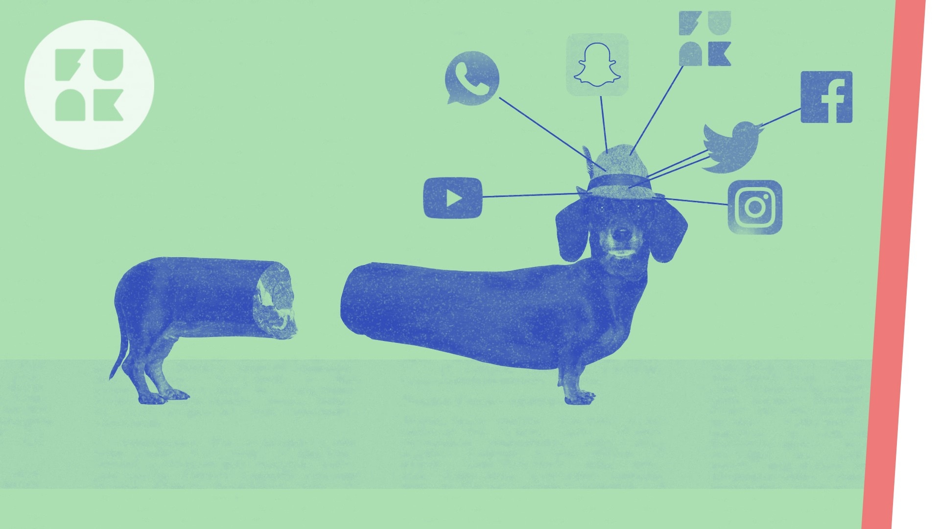 Internetkonsum - Die harten Fakten | Clarify