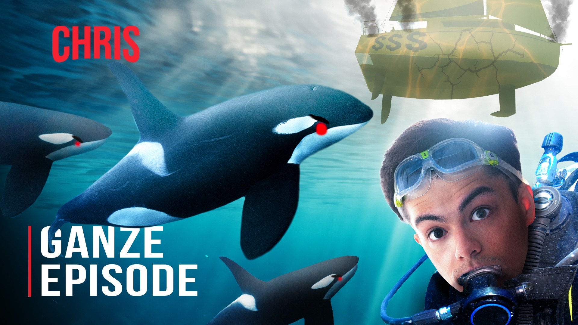 Hassen Orcas reiche Menschen?