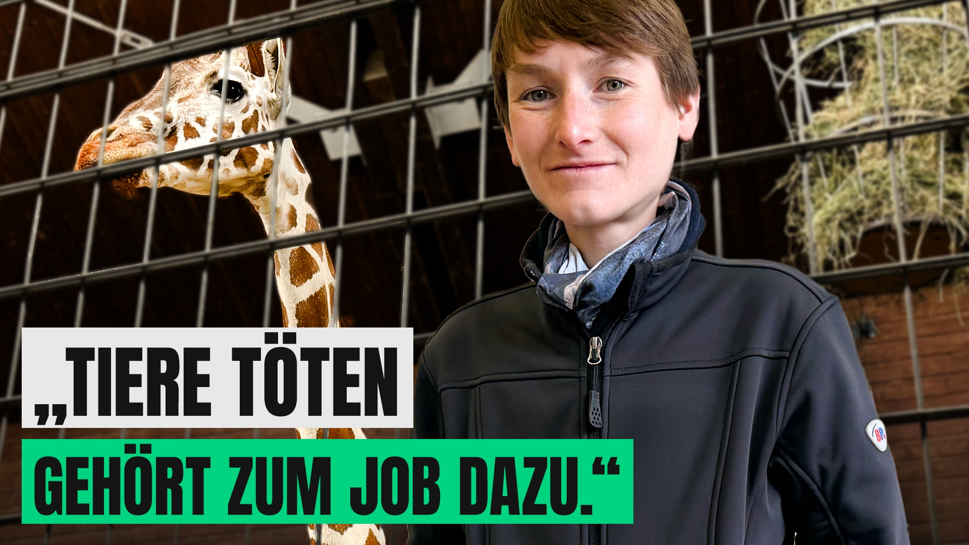 Tierärztin im Zoo: zwischen Tierliebe und Kritik