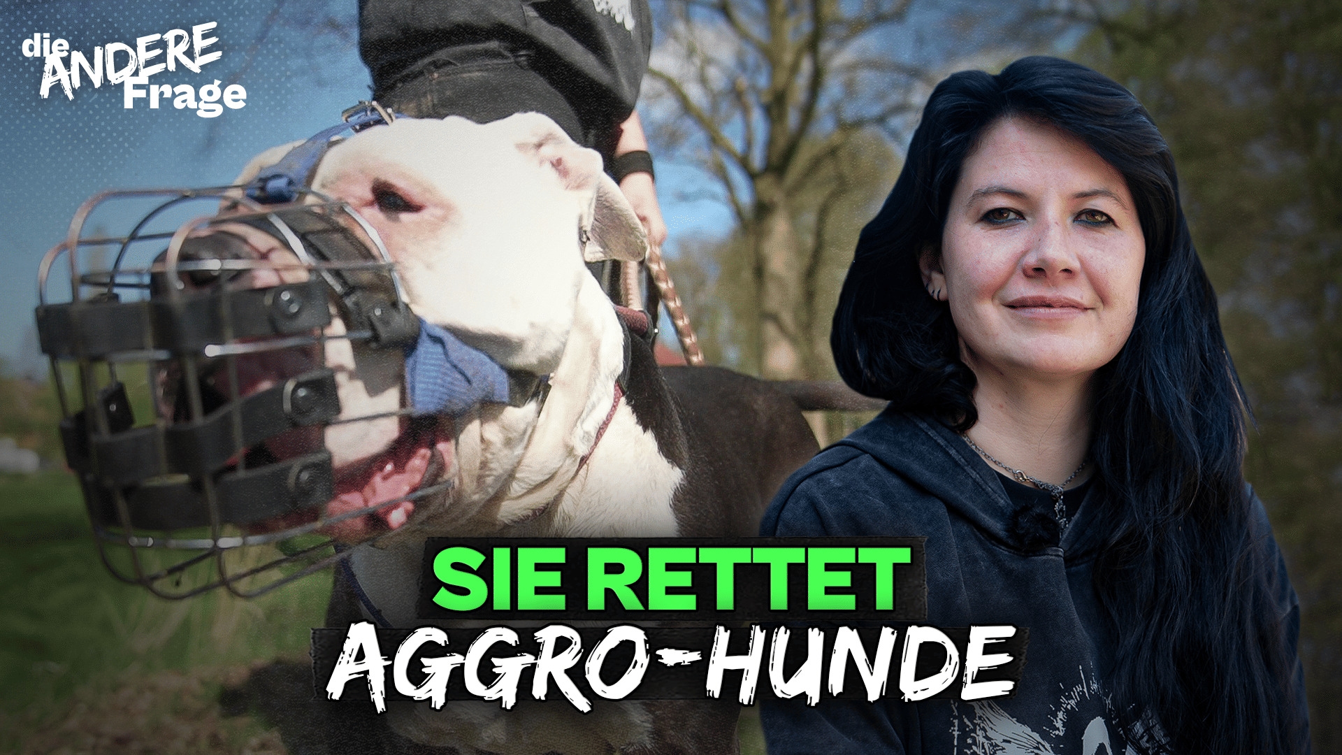 Bissige Listenhunde: Sind sie das Problem oder ihre Besitzer?