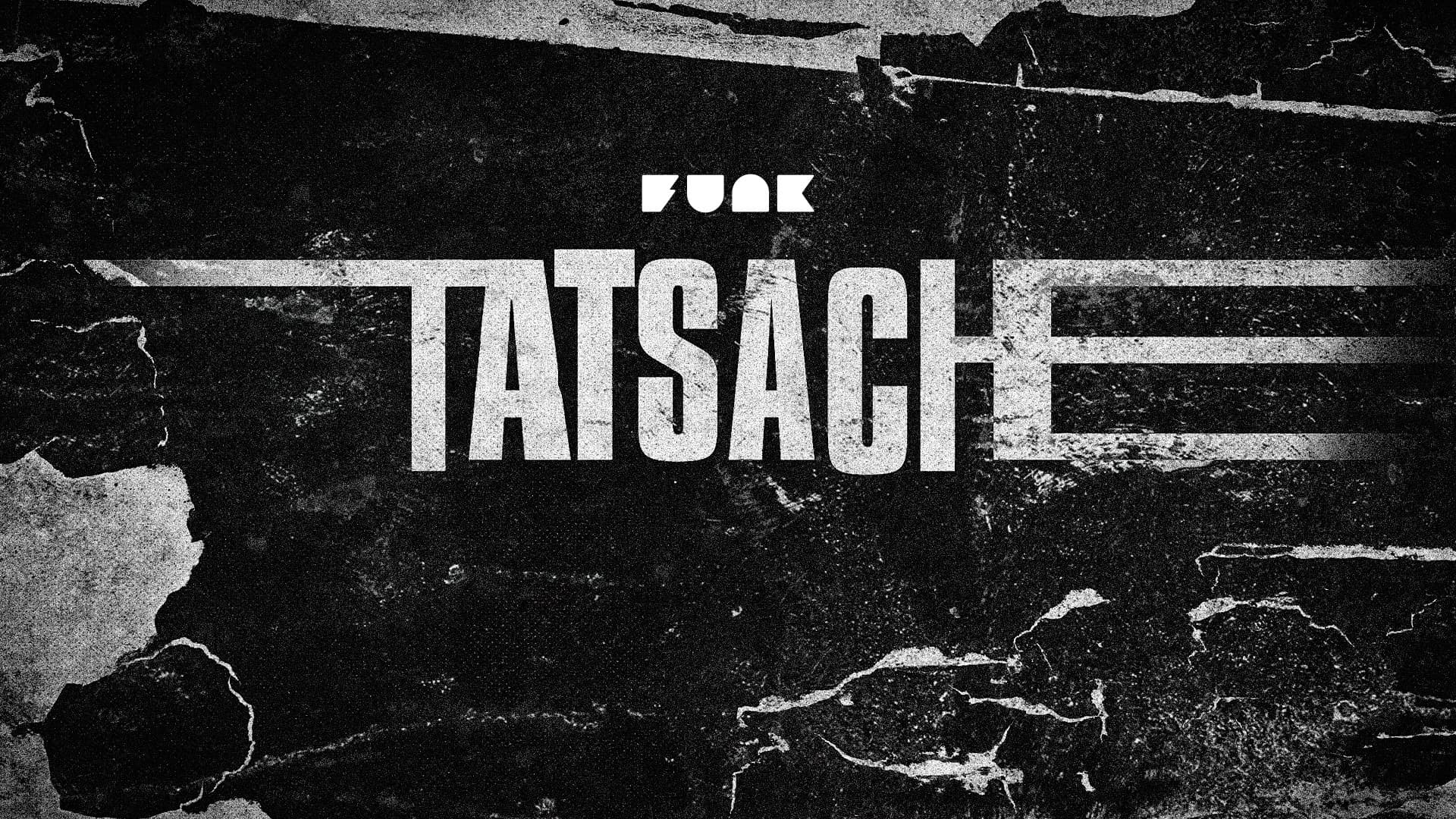 Link zur Formatseite von 'tatsache'